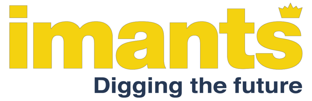 Imants DtF logo